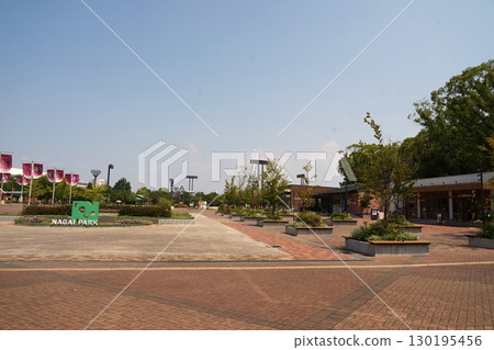 長居公園的夏日風景 130195456