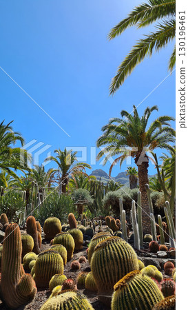 Close-up of fresh freshwater, which is dynamic and vital for the survival of living organisms due to its special properties 130196461