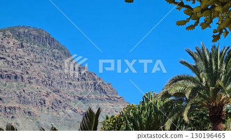 Cacti thrive in the Canary Islands arid volcanic landscapes under bright blue skies, perfectly adapted to the hot, dry climate Cacti thrive in the Canary Islands arid volcanic landscapes under bright blue skies, perfectly adapted to the hot, dry climate 130196465
