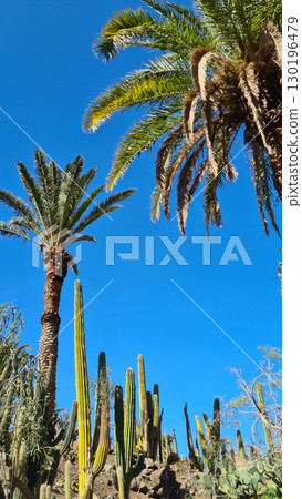 Close-up of fresh freshwater, which is dynamic and vital for the survival of living organisms due to its special properties 130196479