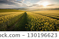 Golden Wheat Fields at Sunrise - Generative Ai 130196623