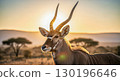 Majestic Antelope in Sunlit Savanna - Ai Generated 130196646
