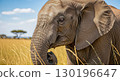 Close-Up of an Elephant in a Grassy Field - Ai Generated 130196647