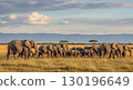 Herd of Elephants in the Savanna - Ai Generated 130196649