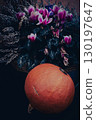 Pumpkin and Cyclamen Still Life 130197647