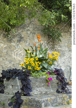 Colorful flowers growing in a stone flowerbed near an old wall 130197663