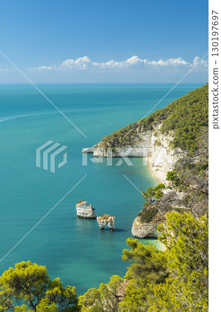 Baia delle Zagare beach and faraglioni, Mattinata, Gargano, Apulia, Italy, seascape with turquoise water and pine trees framing the view 130197697