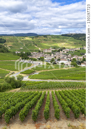 Fuisse village surrounded by vineyards in Bourgogne region, France, under cloudy sky 130197723