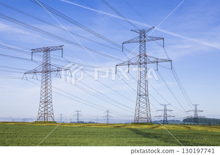 Electricity pylons transporting energy in Czechia countryside 130197741