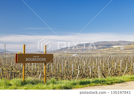 Burgundy vineyard landscape with sign indicating wine region in Cote d'Or, France Burgundy vineyard landscape with sign indicating wine region in Cote d'Or, France 130197841