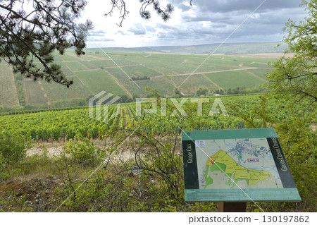 Map showing Grands Crus vineyards with cloudy sky in Chablis, Bourgogne Franche Comte, France 130197862