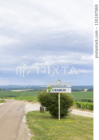 Chablis vineyards landscape in Bourgogne, France, under cloudy sky 130197869