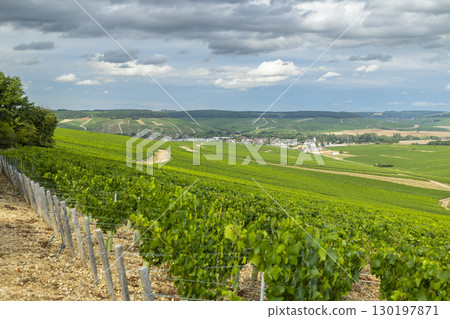 Chablis vineyards covering rolling hills in Bourgogne, France, under cloudy sky Chablis vineyards covering rolling hills in Bourgogne, France, under cloudy sky 130197871