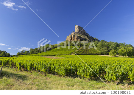 Rock of Solutre with vineyards, Burgundy, Solutre-Pouilly, France 130198081