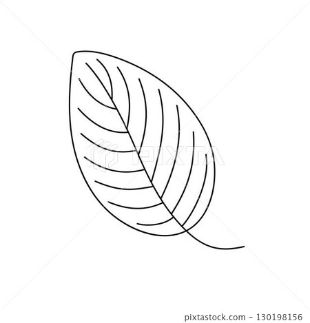 Leaf simple outline hand drawn doodle vector illustration, floral botanical minimalist image for environment projects, nature concept, coloring page, scrapbooking, line art sketch Leaf simple outline hand drawn doodle vector illustration, floral botanical minimalist image for environment projects, nature concept, coloring page, scrapbooking, line art sketch 130198156