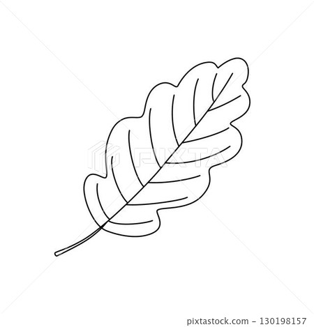 Oak leaf simple outline hand drawn doodle vector illustration, floral botanical minimalist image for environment projects, nature concept, coloring page, scrapbooking, line art sketch Oak leaf simple outline hand drawn doodle vector illustration, floral botanical minimalist image for environment projects, nature concept, coloring page, scrapbooking, line art sketch 130198157