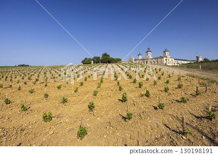 Vineyards with Chateau Cos d'Estournel, Bordeaux, Aquitaine, France Vineyards with Chateau Cos d'Estournel, Bordeaux, Aquitaine, France 130198191