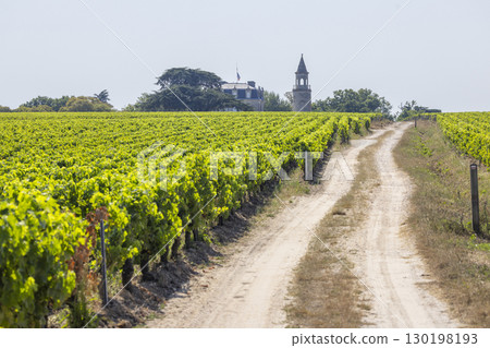 Typical vineyards near Chateau la Tour de By, Bordeaux, Aquitaine, France Typical vineyards near Chateau la Tour de By, Bordeaux, Aquitaine, France 130198193