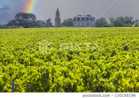 Typical vineyards near Chateau la Tour de By, Bordeaux, Aquitaine, France Typical vineyards near Chateau la Tour de By, Bordeaux, Aquitaine, France 130198196