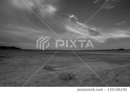 Saltpeter on the floor of a lagoon in a semi desert environment, La Pampa province, Patagonia, Argentina. 130198290