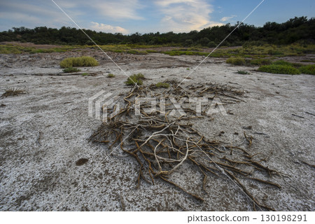 Saltpeter on the floor of a lagoon in a semi desert environment, La Pampa province, Patagonia, Argentina. Saltpeter on the floor of a lagoon in a semi desert environment, La Pampa province, Patagonia, Argentina. 130198291