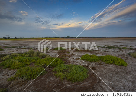 Saltpeter on the floor of a lagoon in a semi desert environment, La Pampa province, Patagonia, Argentina. Saltpeter on the floor of a lagoon in a semi desert environment, La Pampa province, Patagonia, Argentina. 130198332
