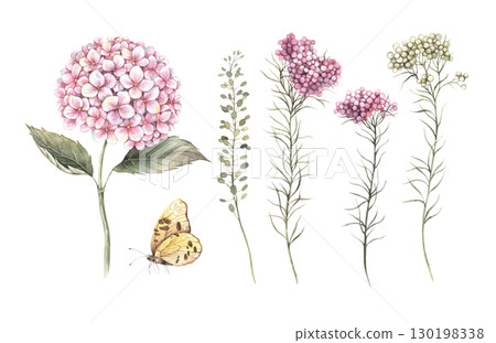 Pink hydrangea, small ozosamun flowers, field plants, and a yellow butterfly. A set of watercolor illustrations with flowers is suitable for floral design, weddings, birthdays, and invitations. 130198338