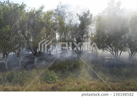 Fire in the forest. Fire and smoke in the forest litter. The grass is burning in the forest. Forest fires Fire in the forest. Fire and smoke in the forest litter. The grass is burning in the forest. Forest fires 130198582