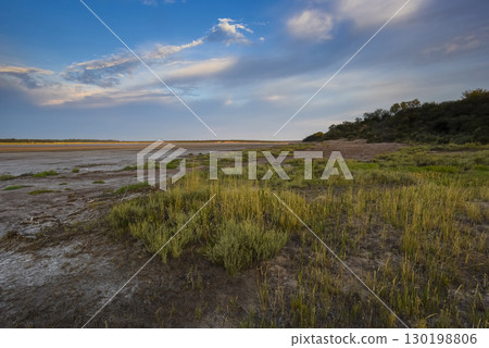 Saltpeter on the floor of a lagoon in a semi desert environment, La Pampa province, Patagonia, Argentina. 130198806