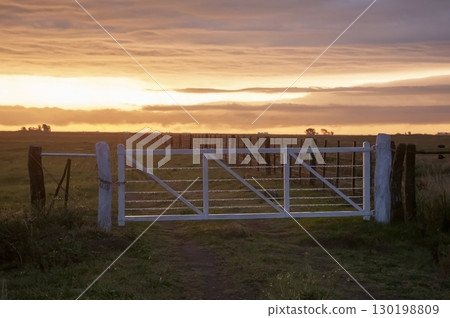Field gateway in countryside, Buenos Aires province, Patagonia , Argentina 130198809