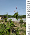 美麗的日本鄉村風景 130199213