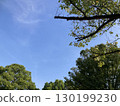 Airplane shining in the blue sky 130199230