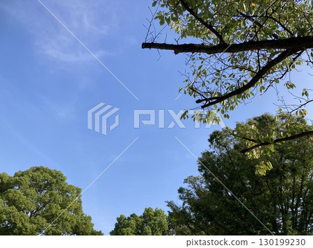 飛機在藍天上閃耀 飛機在藍天上閃耀 130199230