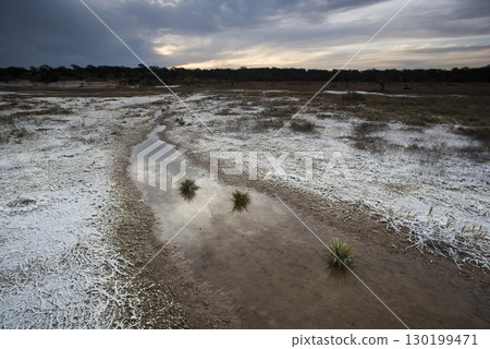 Saltpeter on the floor of a lagoon in a semi desert environment, La Pampa province, Patagonia, Argentina. Saltpeter on the floor of a lagoon in a semi desert environment, La Pampa province, Patagonia, Argentina. 130199471
