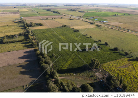 Silo bag filled with soy beans, La Pampa Province, Patagonia, Argentina. Silo bag filled with soy beans, La Pampa Province, Patagonia, Argentina. 130199474