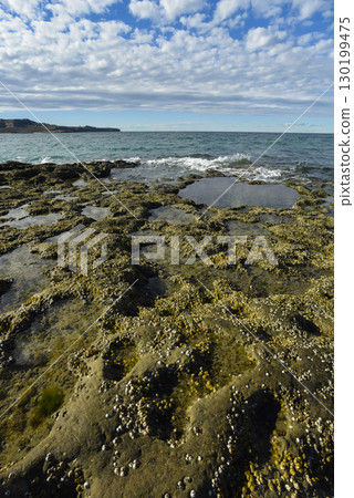 Coastal landscape with cliffs in Peninsula Valdes, World Heritage Site, Patagonia Argentina 130199475