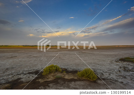 Saltpeter on the floor of a lagoon in a semi desert environment, La Pampa province, Patagonia, Argentina. 130199514