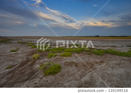 Saltpeter on the floor of a lagoon in a semi desert environment, La Pampa province, Patagonia, Argentina. Saltpeter on the floor of a lagoon in a semi desert environment, La Pampa province, Patagonia, Argentina. 130199516