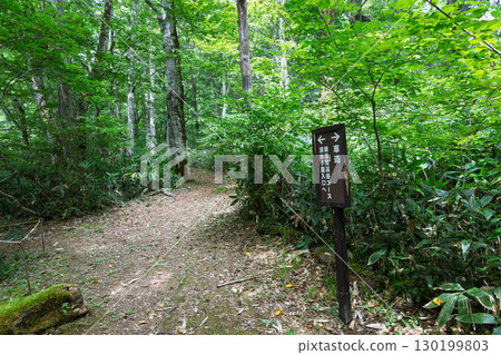 Okushiga Valley Promenade in Summer Okushiga Valley Promenade in Summer 130199803