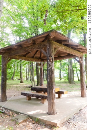 森林公園的木製涼亭和休息長椅 森林公園的木製涼亭和休息長椅 130199992