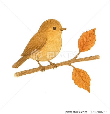 一隻小鳥棲息在樹枝上的簡單插圖(透明 PNG) 一隻小鳥棲息在樹枝上的簡單插圖(透明 PNG) 130200258