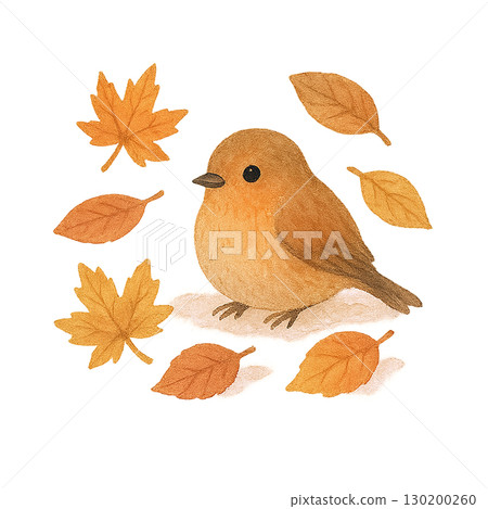 秋葉和鳥類的可愛秋季插圖（透明PNG） 130200260