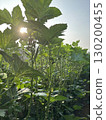 Okrafield 130200455