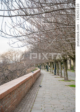 Picturesque Toth Street in the Castle District featuring a quiet cobblestone walkway framed by bare spring trees 130201110