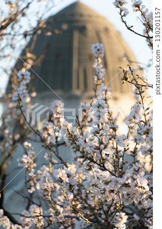Blooming spring branches in front of the iconic dome of Gellert Baths (Gellert Gyogyfurdo) in Budapest, Hungary 130201157