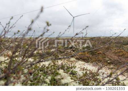 Wind turbines stand tall in the tundra landscape of Teriberka, Russia, under a cloudy Arctic sky 130201333