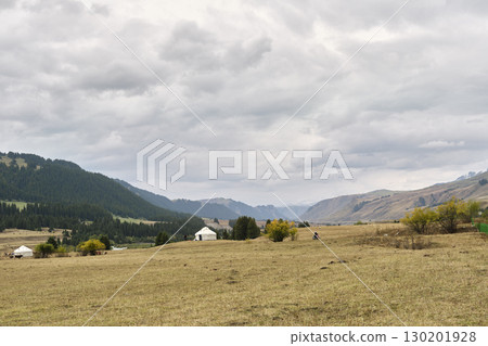 pastureland in xinjiang, china pastureland in xinjiang, china 130201928