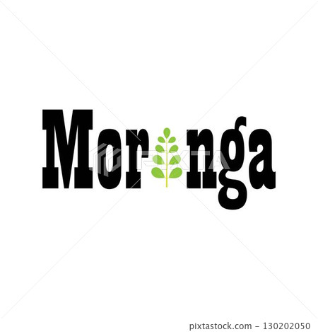 Moringa leaf logo illustration vector design Moringa leaf logo illustration vector design 130202050