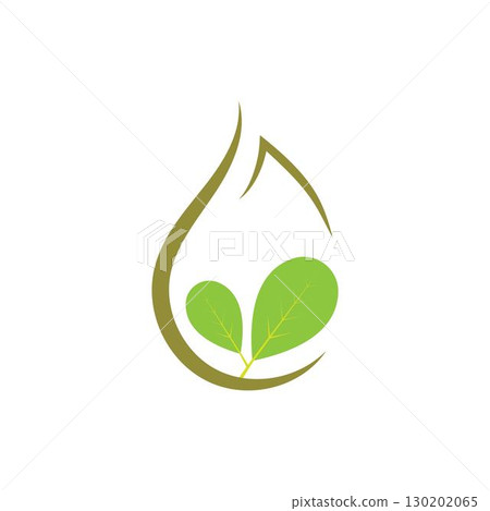 Moringa leaf logo illustration vector design Moringa leaf logo illustration vector design 130202065