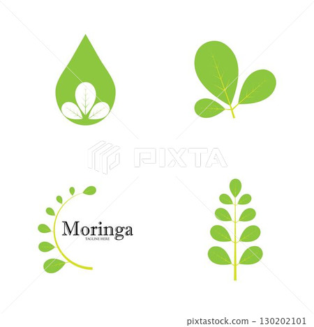 Moringa leaf logo illustration vector design 130202101